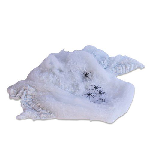 Spinnenweb met 10 spinnen