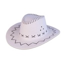 Cowboyhoed leerlintjes wit