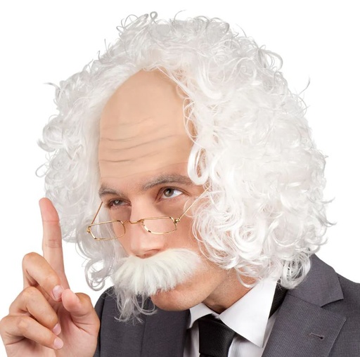 Pruik Professor