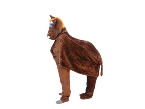 Paard voor 2 personen