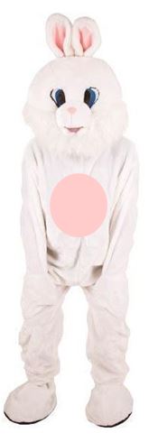 Super Paashaas/ konijn Ferre